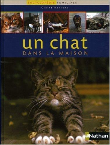 Un chat dans la maison