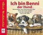 Ich bin Benni, der Hund