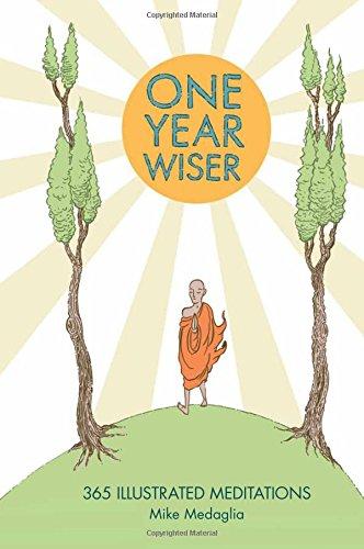 One Year Wiser: 365 Illustrated Meditations