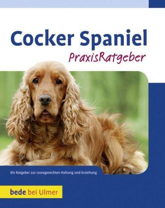 Cocker Spaniel