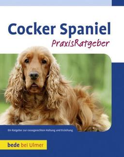 Cocker Spaniel