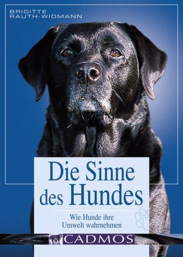 Die Sinne des Hundes: Wie die Hunde ihre Umwelt wahrnehmen