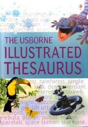 Usborne Illustrated Thesaurus (Usborne Illustrated Dictionaries)