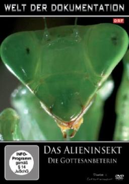 Welt der Dokumentation - Das Alieninsekt - Die Gottesanbeterin