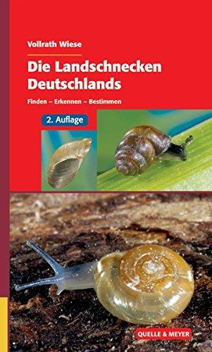 Die Landschnecken Deutschlands: Finden - Erkennen - Bestimmen