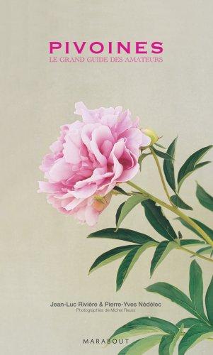 Pivoines : le grand guide des amateurs