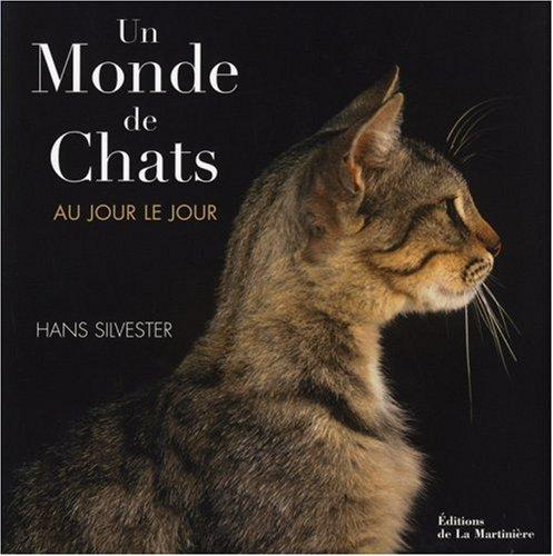 Un monde de chats au jour le jour