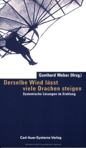 Derselbe Wind läßt viele Drachen steigen: Systemische Lösungen im Einklang