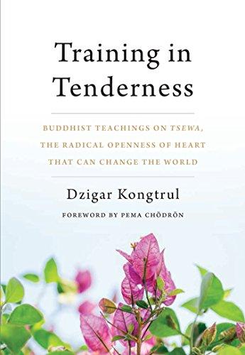 Training in Tenderness: Buddhist Teachings on Tsewa, the Radical Openness of Heart That Can Change the  World