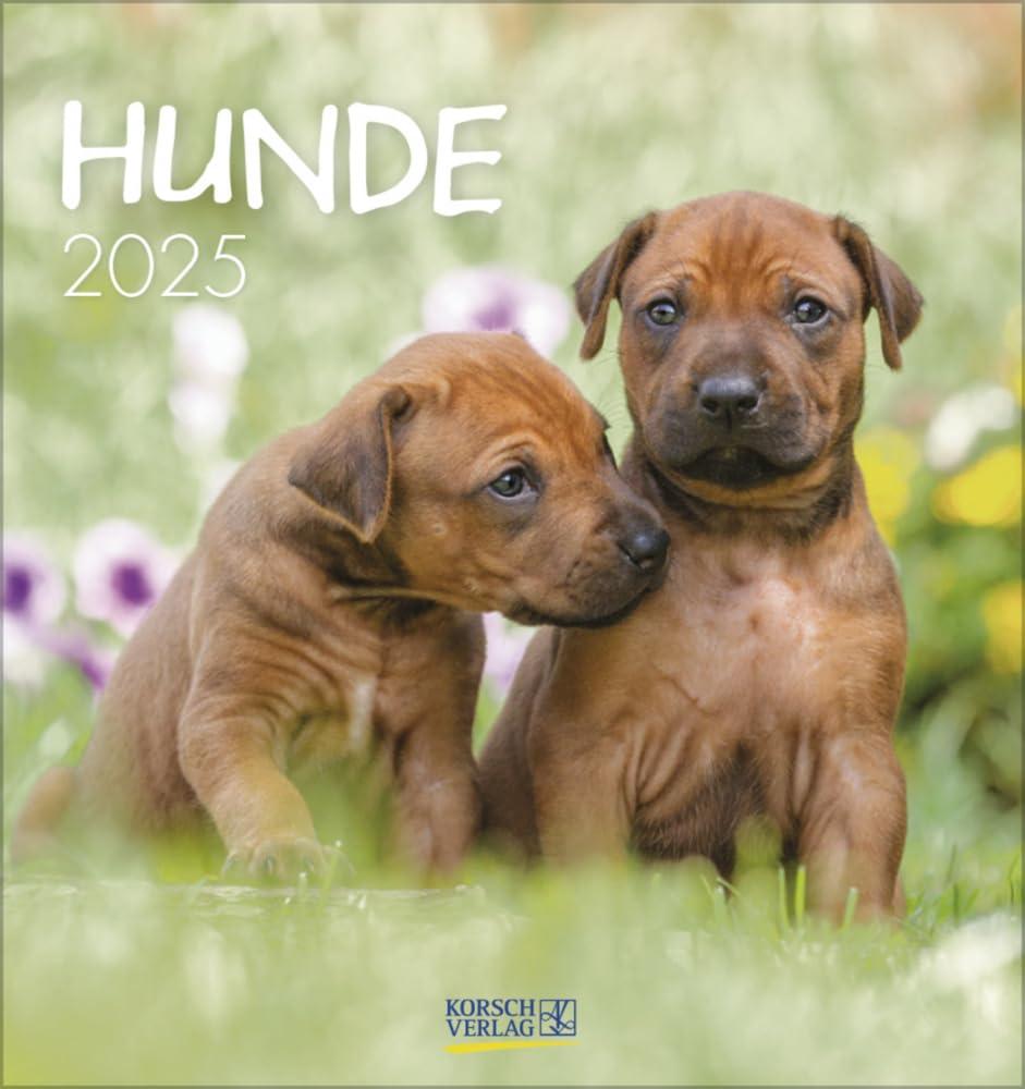 Hunde 2025: aufstellbarer Postkartenkalender