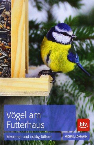 Vögel am Futterhaus: Erkennen und richtig füttern