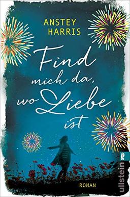 Find mich da, wo Liebe ist: Roman