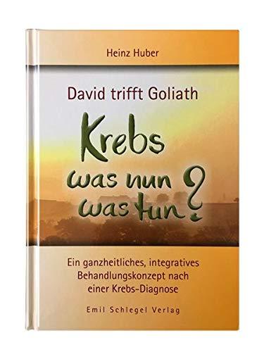 David trifft Goliath - Krebs was nun was tun?: Ein ganzheitliches, integratives Behandlungskonzept nach einer Krebs-Diagnose