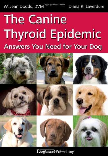 The Canine Thyroid Epidemic: Answers You Need for Your Dog