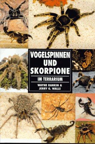 Vogelspinnen und Skorpione im Terrarium