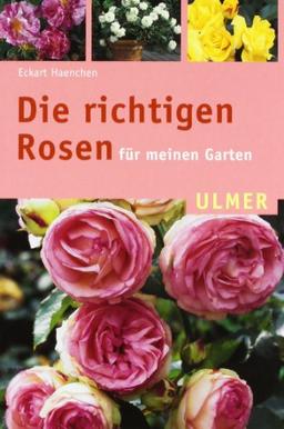 Die richtigen Rosen für meinen Garten