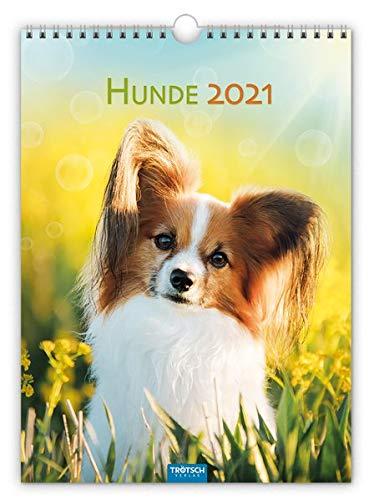 Classickalender "Hunde" 2021: 24 x 33 cm