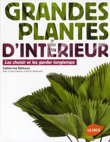 Grandes plantes d'intérieur : les choisir et les garder longtemps