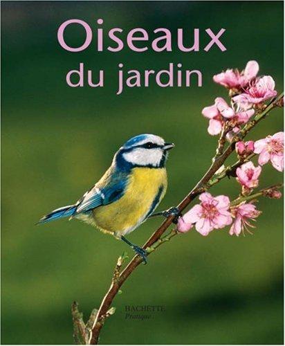 Oiseaux du jardin : des hôtes bienvenus en été et en hiver