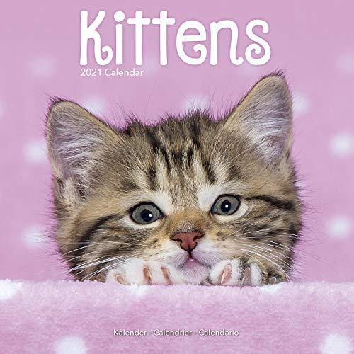 Kittens 2021 Wall Calendar