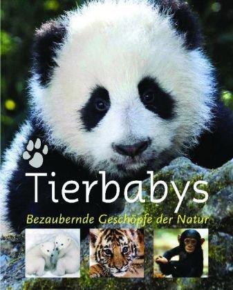 Tierbabys: Bezaubernde Geschöpfe der Natur