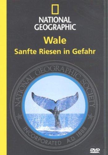 National Geographic - Wale: Sanfte Riesen in Gefahr