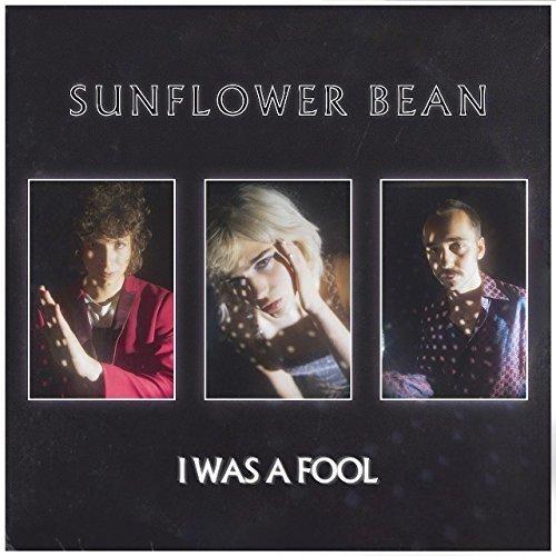 I Was a Fool [Vinyl Single]