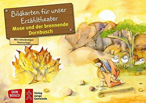 Mose und der brennende Dornbusch: Bildkarten für unser Erzähltheater. Entdecken. Erzählen. Begreifen. Kamishibai Bildkartenset. (Bibelgeschichten für unser Erzähltheater)