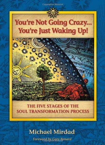 You're Not Going Crazy... You're Just Waking Up!: The Five Stages of the Soul Transformation Process