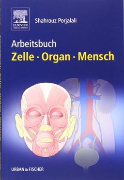 Arbeitsbuch Zelle Organ Mensch