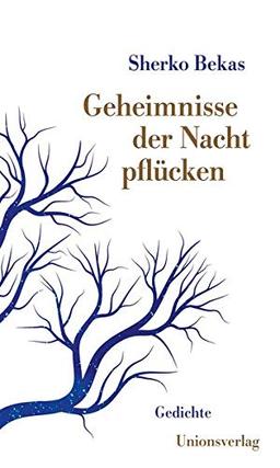 Geheimnisse der Nacht pflücken: Mit einem Vorwort von Bachtyar Ali. Gedichte