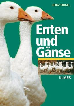 Enten und Gänse