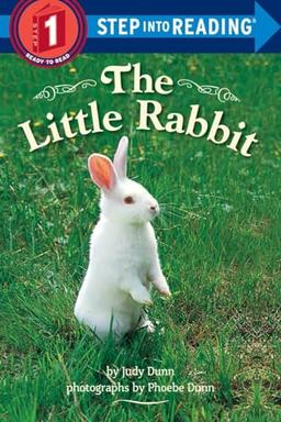 The Little Rabbit (Step into Reading)