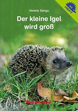 Der kleine Igel wird groß (Igelhefte)