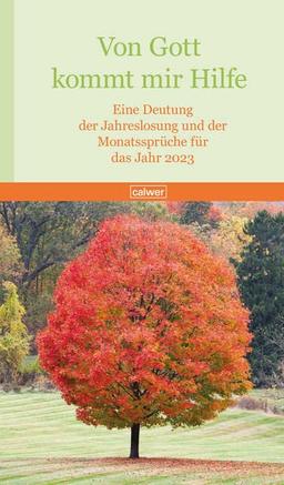 Von Gott kommt mir Hilfe 2023: Eine Deutung der Jahreslosung und der Monatssprüche für das Jahr 2023 (Vonn Gott kommt mir Hilfe)