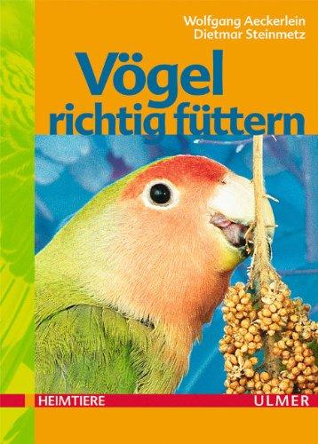 Vögel richtig füttern