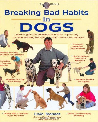 Breaking Bad Habits in Dogs