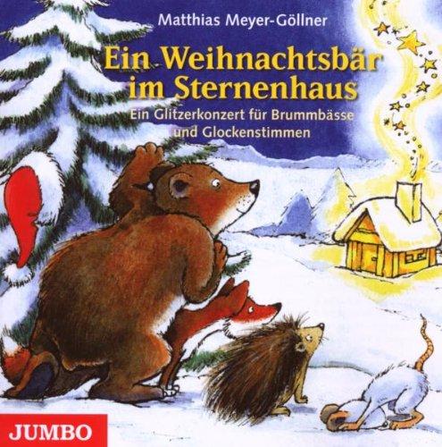 Ein Weihnachtsbär im Sternenhaus