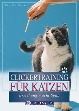 Clickertraining für Katzen: Erziehung macht Spaß