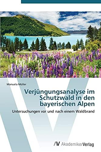 Verjüngungsanalyse im Schutzwald in den bayerischen Alpen: Untersuchungen vor und nach einem Waldbrand