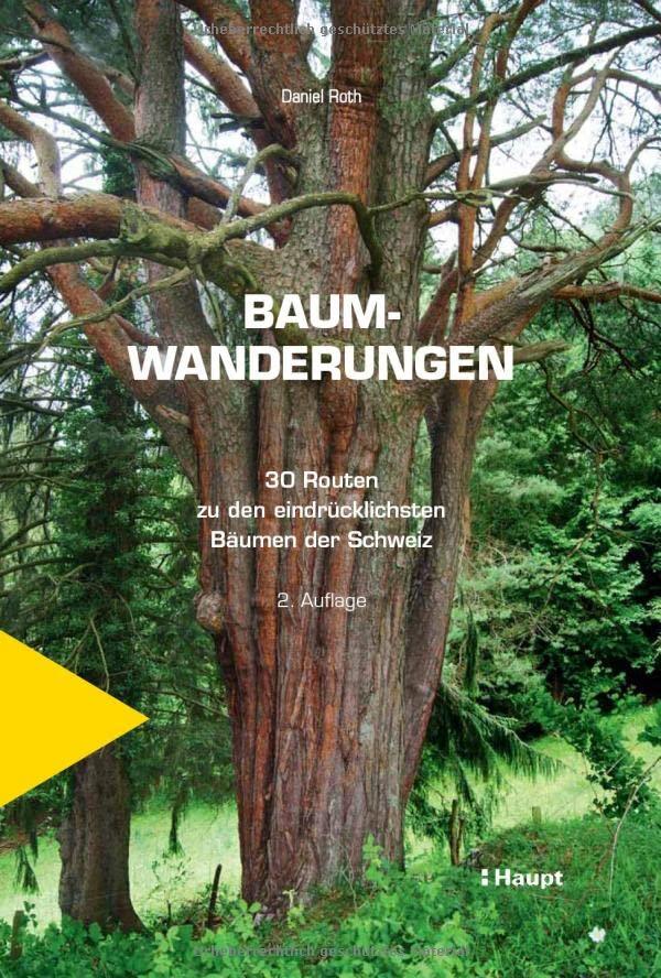 Baumwanderungen: 30 Routen zu den eindrücklichsten Bäumen der Schweiz