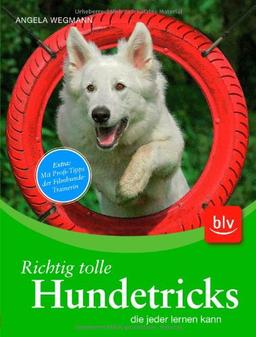 Richtig tolle Hundetricks: die jeder lernen kann