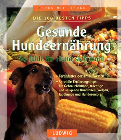 Gesunde Hundeernährung