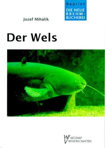 WELS SILURUS GLANIS