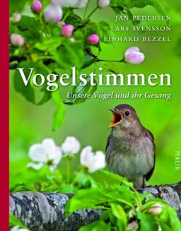 Vogelstimmen: Unsere Vögel und ihr Gesang