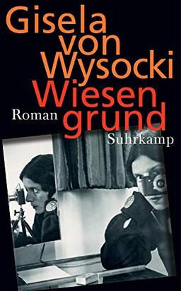 Wiesengrund: Roman (suhrkamp taschenbuch)