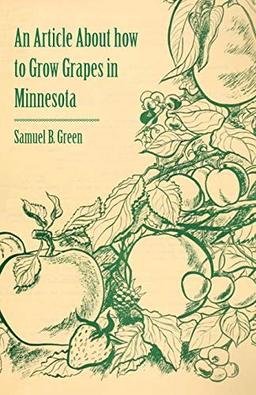 An Article About how to Grow Grapes in Minnesota