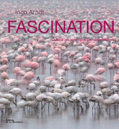 Fascination : quand les animaux se rassemblent