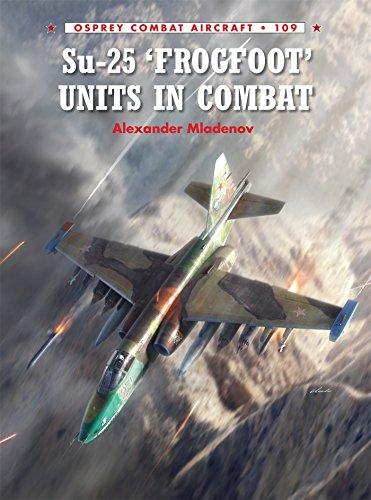 Su-25 'Frogfoot' Units In Combat (Combat Aircraft, Band 109)