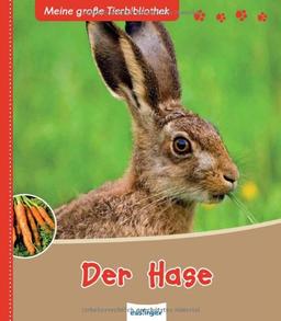 Der Hase